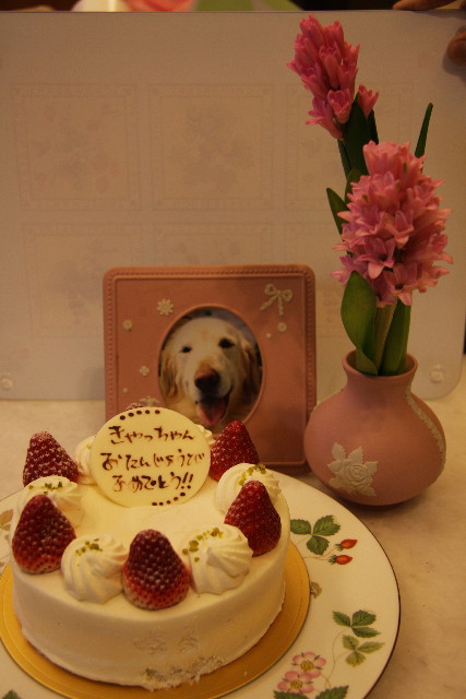 ファイル 1105-2.jpg