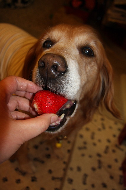 ファイル 1106-1.jpg