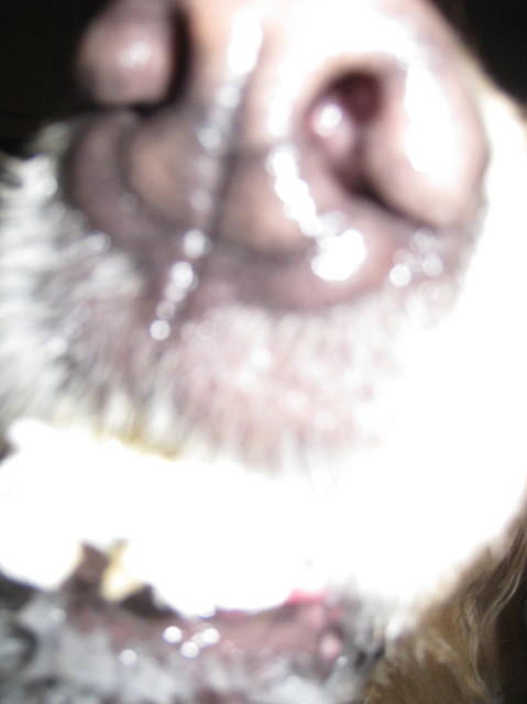 ファイル 1106-3.jpg