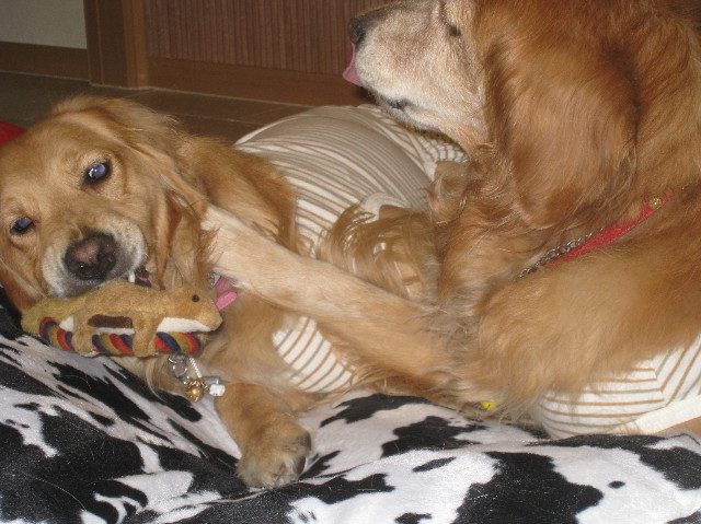 ファイル 1107-4.jpg