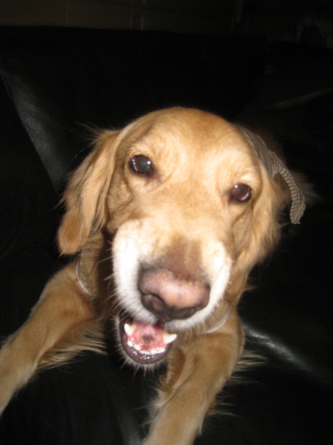 ファイル 1109-3.jpg