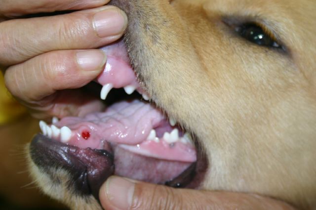 ファイル 111-1.jpg