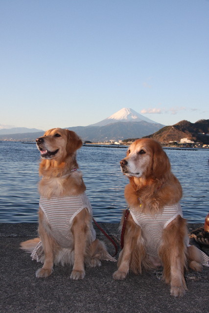 ファイル 1110-2.jpg