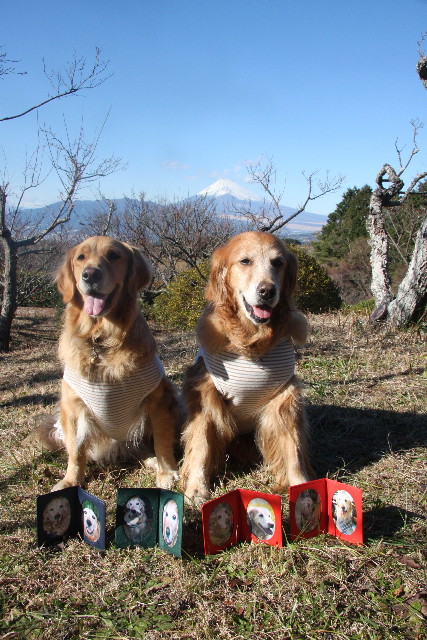 ファイル 1110-5.jpg