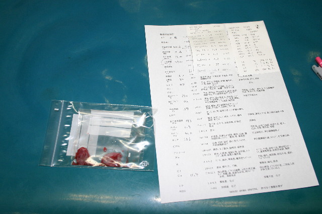 ファイル 1113-3.jpg