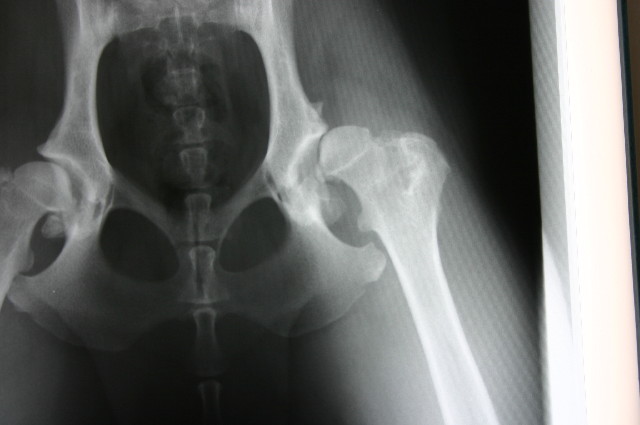 ファイル 1116-2.jpg