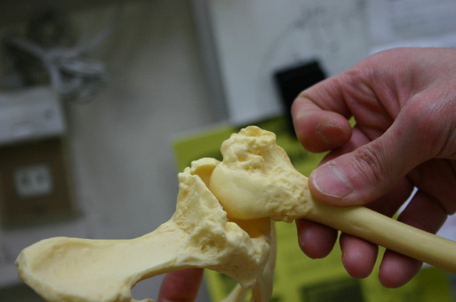 ファイル 1116-4.jpg