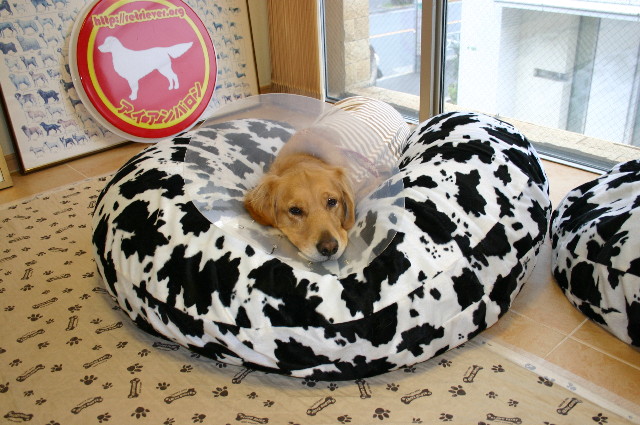 ファイル 1117-4.jpg