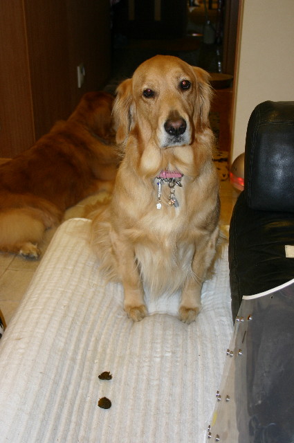 ファイル 1118-1.jpg