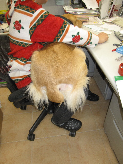 ファイル 1118-2.jpg