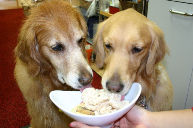 ファイル 1118-3.jpg