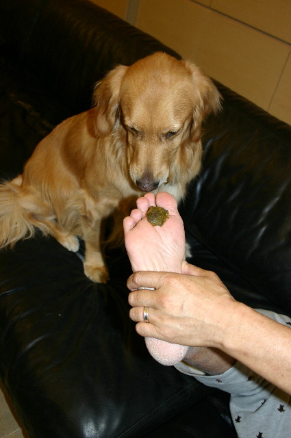 ファイル 1119-2.jpg