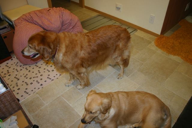 ファイル 112-2.jpg