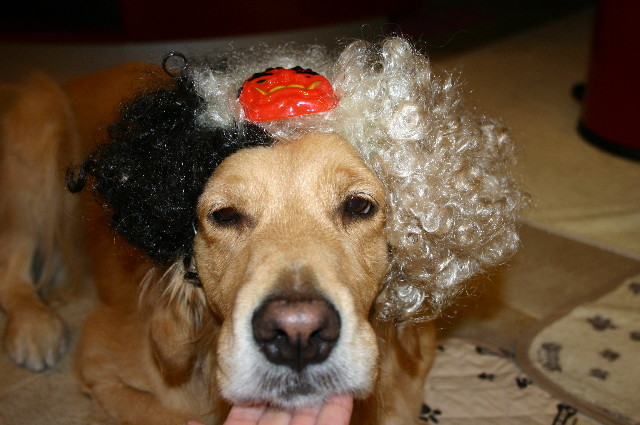 ファイル 1120-1.jpg