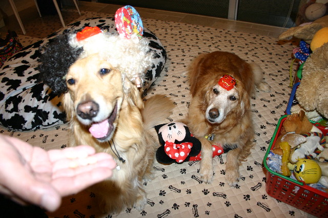 ファイル 1120-2.jpg