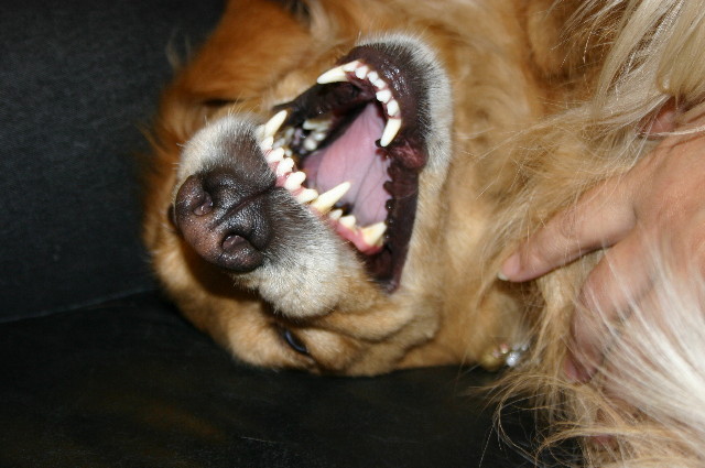 ファイル 1120-3.jpg