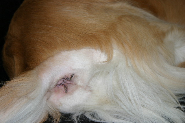 ファイル 1122-1.jpg