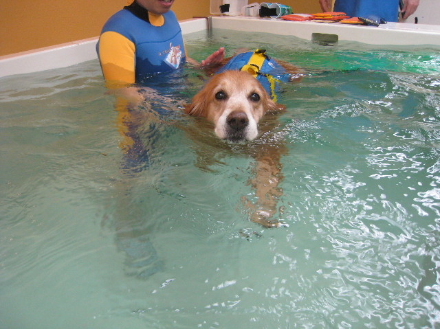 ファイル 1124-2.jpg