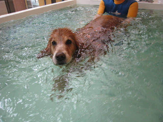 ファイル 1124-3.jpg