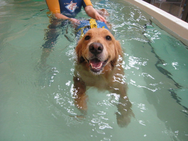 ファイル 1124-4.jpg