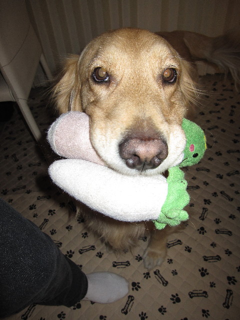 ファイル 1127-1.jpg