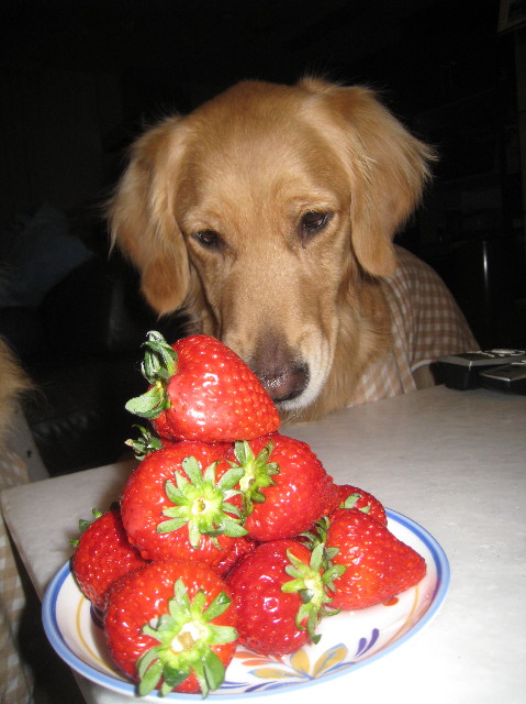 ファイル 1128-5.jpg