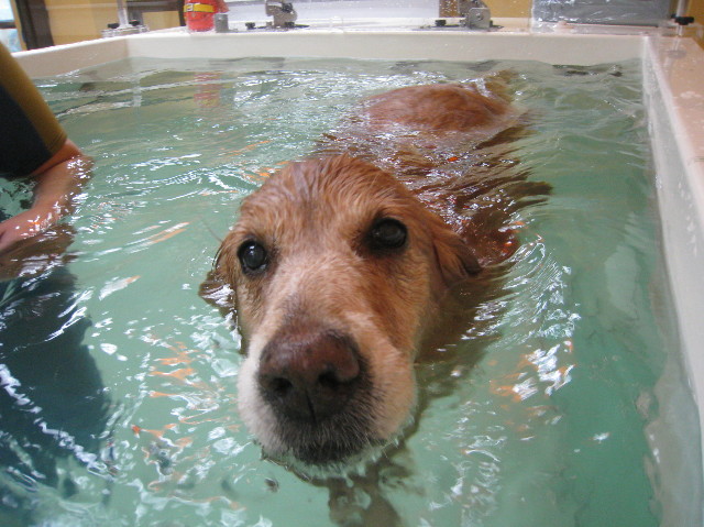 ファイル 1129-1.jpg