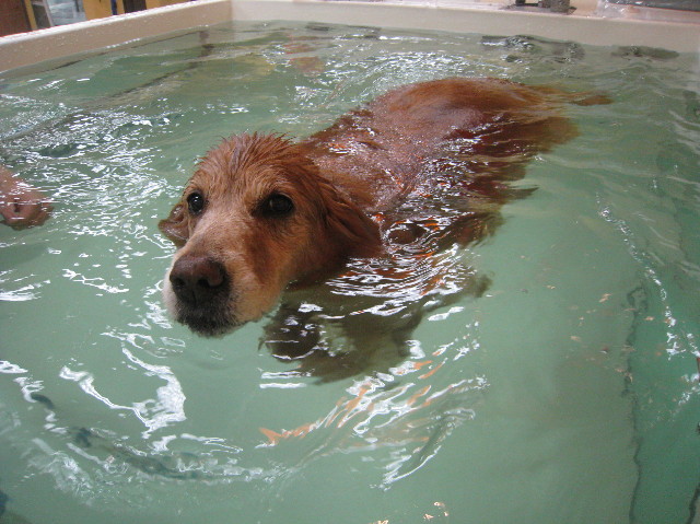 ファイル 1129-3.jpg