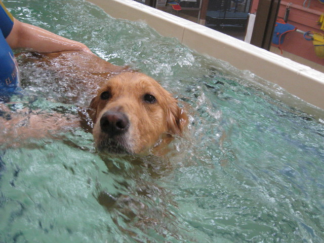 ファイル 1129-5.jpg