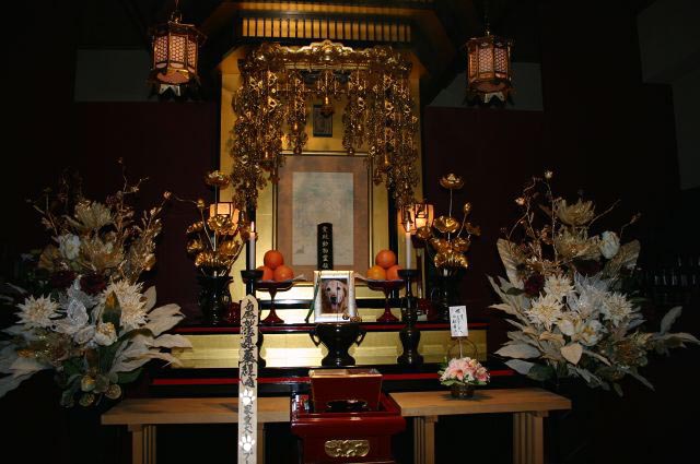 ファイル 113-1.jpg