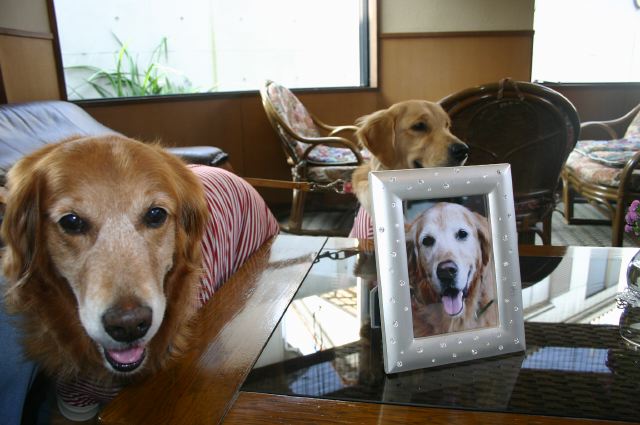 ファイル 113-4.jpg