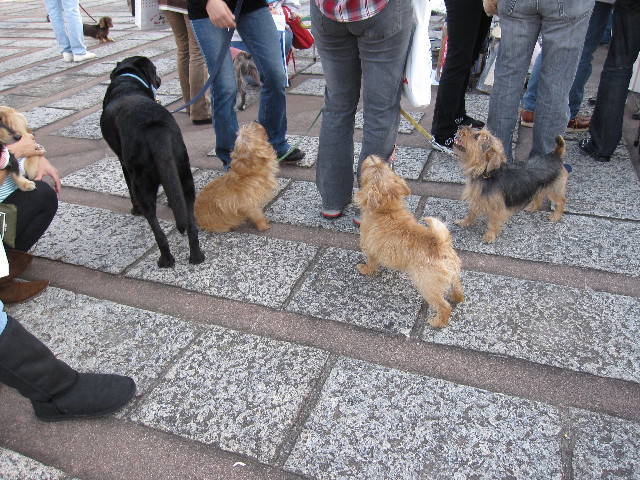 ファイル 1133-2.jpg