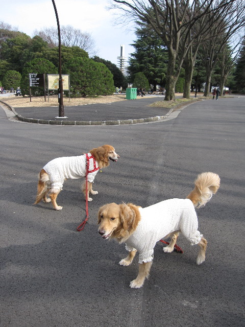 ファイル 1135-1.jpg