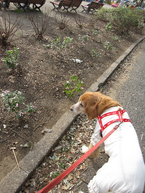 ファイル 1135-4.jpg