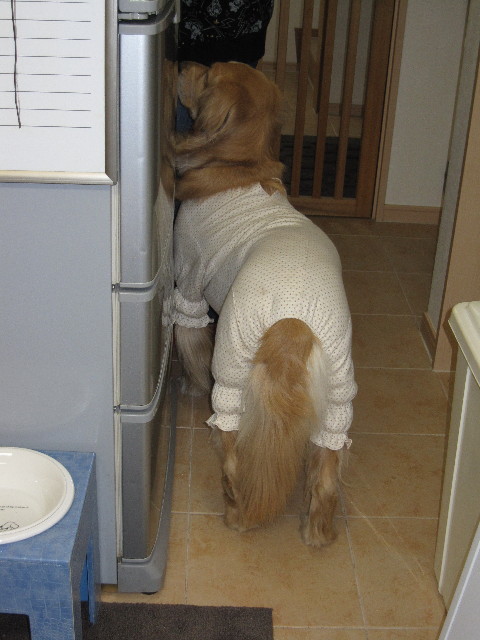 ファイル 1136-1.jpg