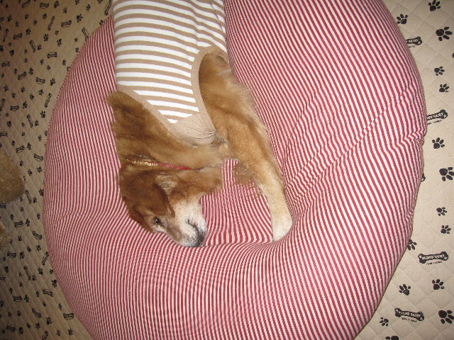 ファイル 1136-4.jpg