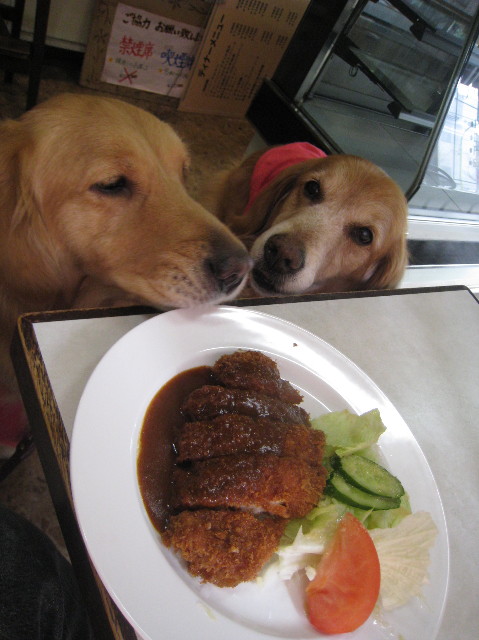 ファイル 1137-3.jpg