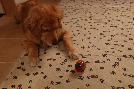 ファイル 1138-2.jpg