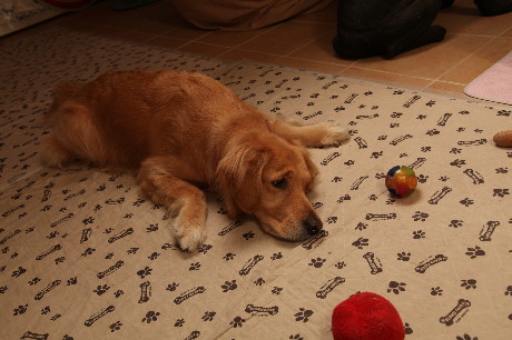 ファイル 1138-3.jpg