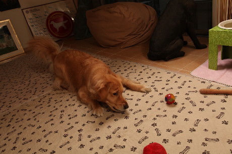 ファイル 1138-4.jpg