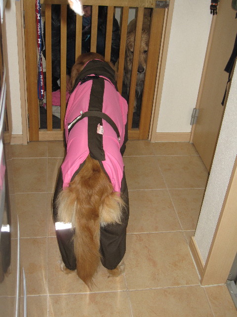 ファイル 1139-2.jpg