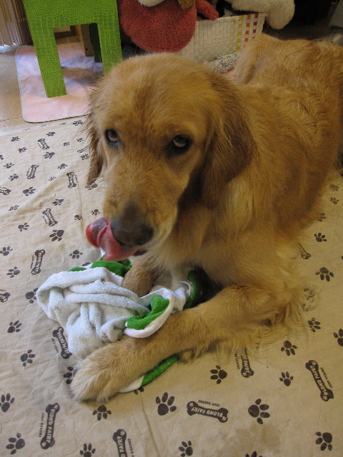 ファイル 1139-4.jpg