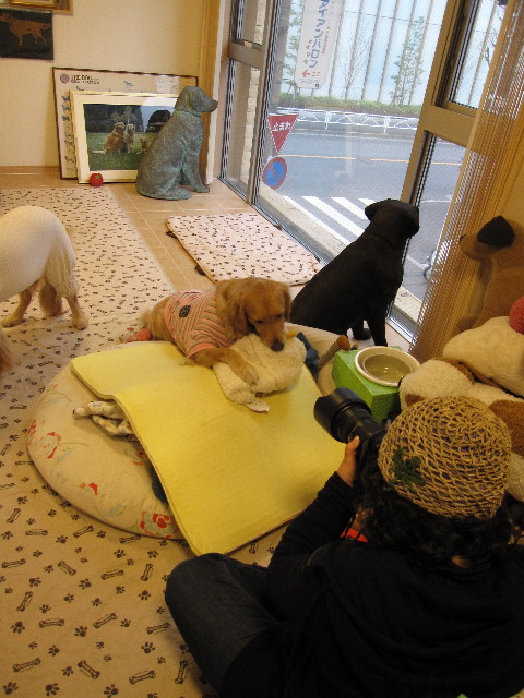 ファイル 1140-3.jpg