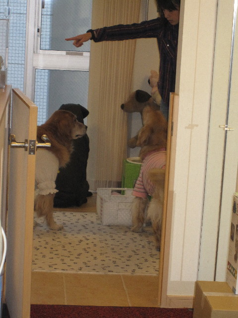 ファイル 1141-2.jpg