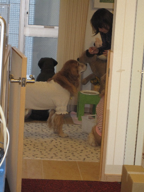 ファイル 1141-3.jpg