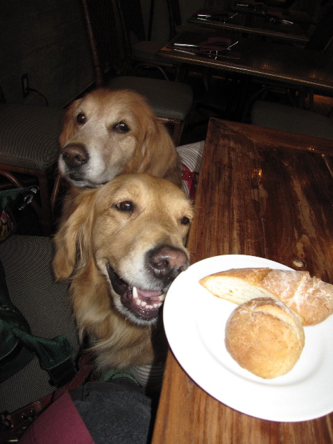 ファイル 1142-1.jpg