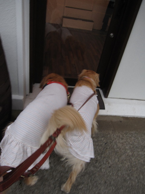 ファイル 1142-3.jpg