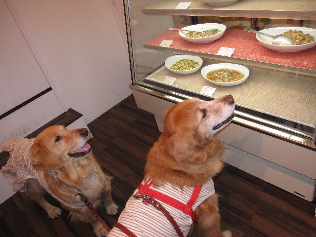 ファイル 1142-4.jpg