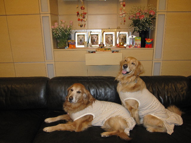 ファイル 1143-2.jpg