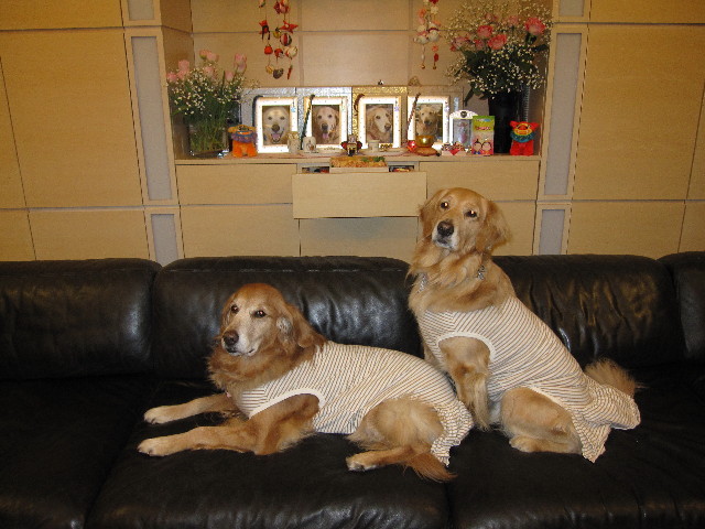 ファイル 1143-3.jpg